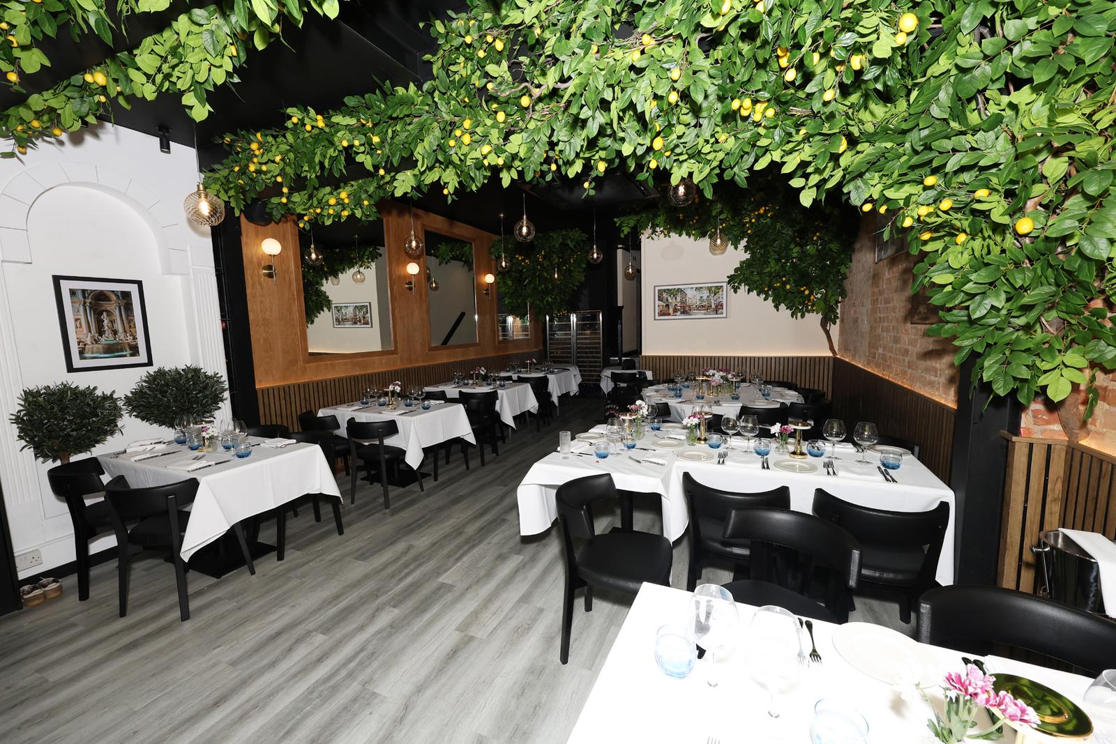 The lemon tree ceiling over the dining room