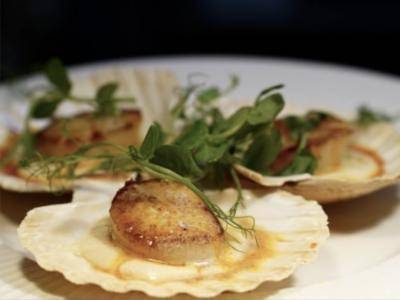 Seared scallops